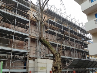 HOTEL JESOLO (VE)